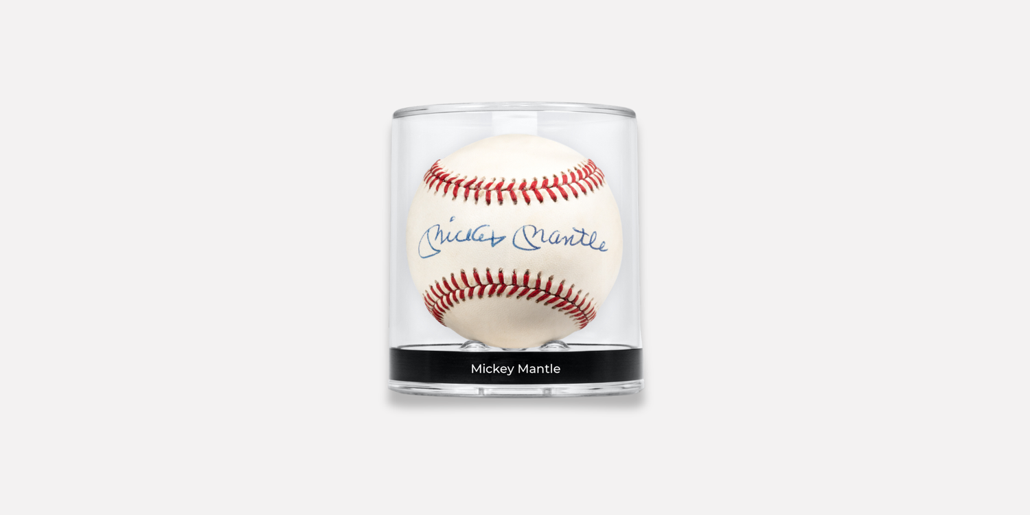 Baseball Display Case Guide Every Collector Needs