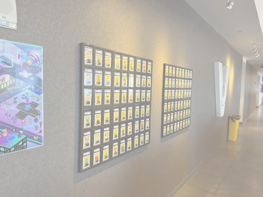 Personalize Your Space with Trading Card Displays